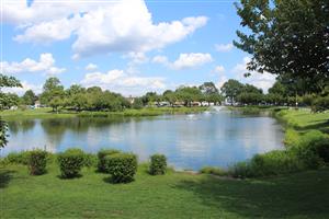 Photo of the Pond at Main Memorial Park.
